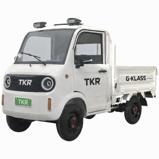 camioneta electrica