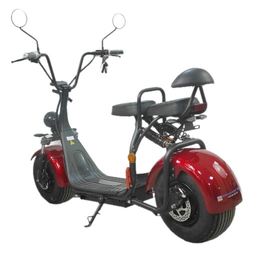 SCUTER ELECTRIC FARA PERMIS TKR
