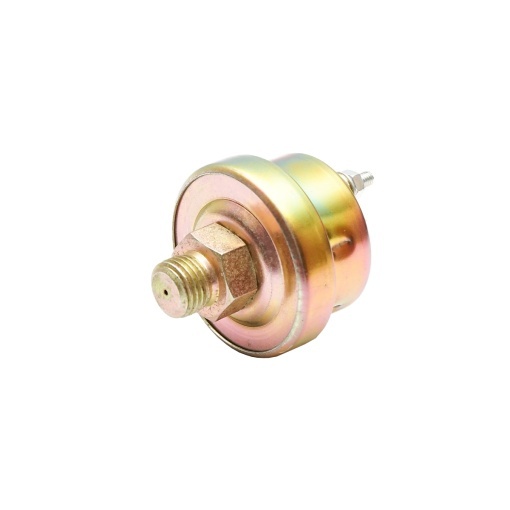 Sonda ulei mare bulb 5621 - Img 2