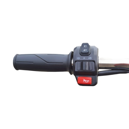 Triciclu electric BRECKNER GERMANY MODEL E 1600W 60V 20AH OMOLOGABIL - Img 9