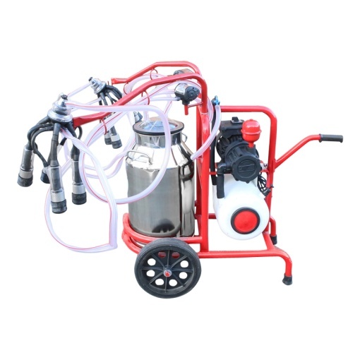 Aparat de muls vaci 2 posturi bidon 40L inox cu butelie, vacuum rezervor Breckner Germany - Img 5