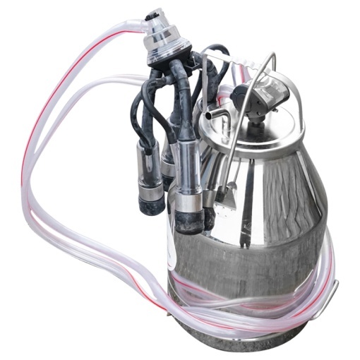 Bidon de inox 30L pentru muls germicidal Breckner Germany - Img 5