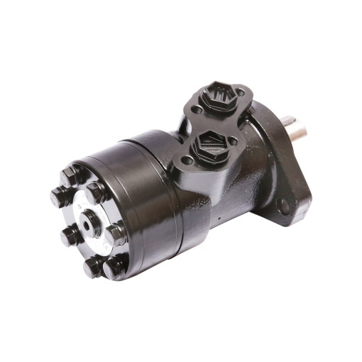 Motor BMP 160cc D=25mm 1/2 Breckner Germany - Img 3