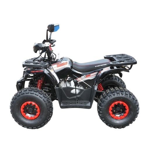 ATV 120cc, 7 CP, 4x2 cu pornire electrica HUNTER II - Img 2