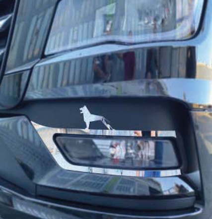 Set ornamente far ceata cromate MAN TGX 2021