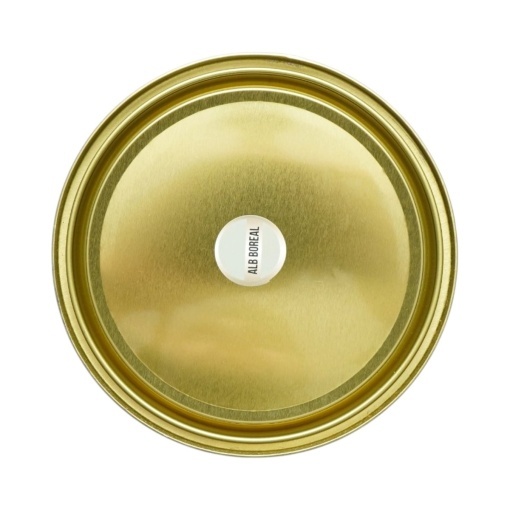 Vopsea email anticoroziva 3 in 1 alb boreal pentru metal 2kg, direct pe rugina, pe baza de apa Breckner Germany - Img 5