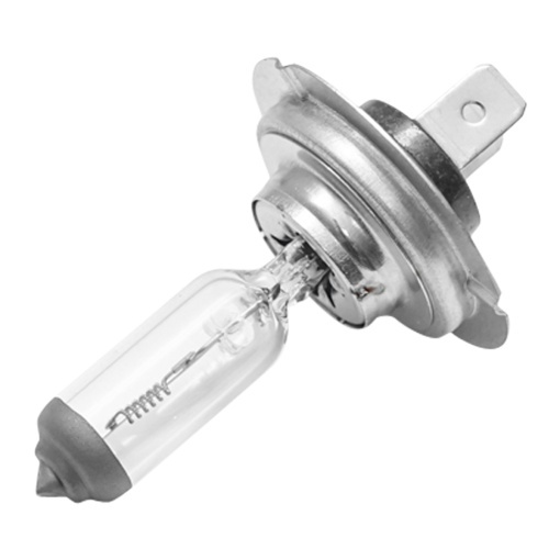 Bec H7 24V 70W - Img 3