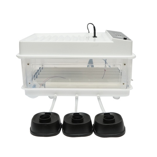 Incubator automat 30 oua 50W, 12V-220V cu rotire automata, control temperatura, umiditate, afisaj digital - Img 5