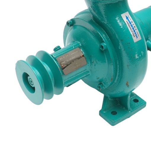 Pompa apa centrifuga cu fulie dubla 1.5kW, 2.5 toli, debit 20 m3/h, adancime aspiratie 9m, inaltime pompare 15m pentru irigatii - Img 7