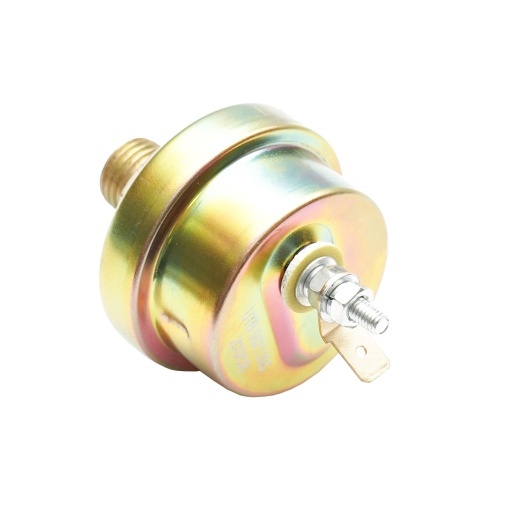 Sonda ulei mare bulb 5621 - Img 3