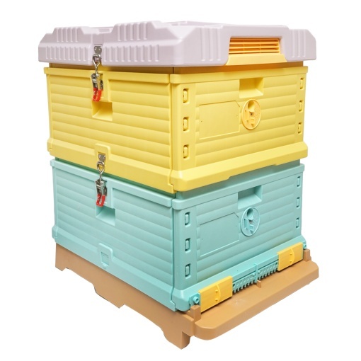Stup albine din plastic pentru 4 rame 600x510x355mm - Img 3