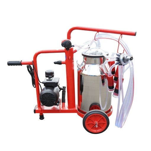 Aparat de muls vaci 1 post bidon 40L inox cu vid in cadru(vacuum) Breckner Germany - Img 4