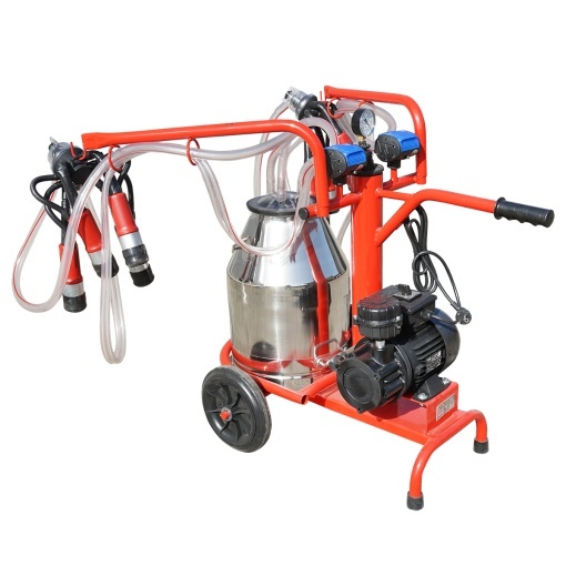 Aparat de muls vaci 2 posturi bidon 30L inox cu vid in cadru(vacuum) Breckner Germany - Img 3