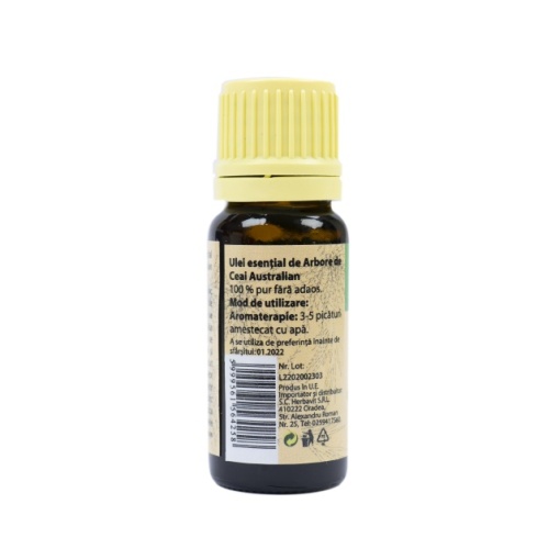 Ulei esential de Tea Tree (Arbore de Ceai), 100% pur fara adaos, 10 ml - Img 2