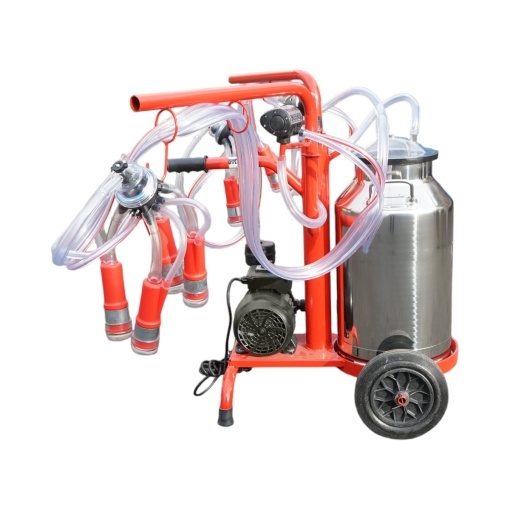 Aparat de muls vaci 2 posturi bidon 40L inox cu vid in cadru(vacuum) Breckner Germany - Img 2