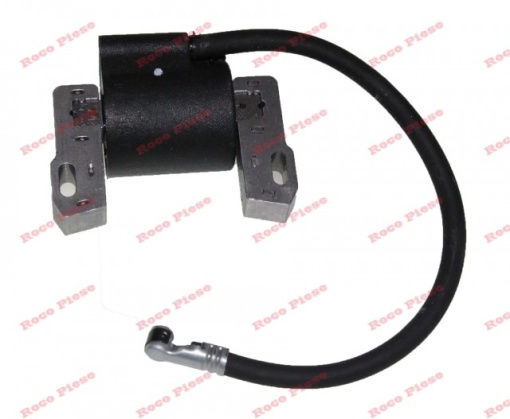 Aprindere Briggs&amp;Stratton 843931 - Img 3