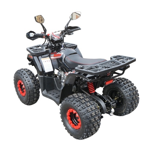 ATV 120cc, 7 CP, 4x2 cu pornire electrica HUNTER II - Img 3