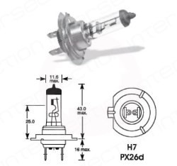 Bec far 12V 55W PX26d H7 CEI - Img 2