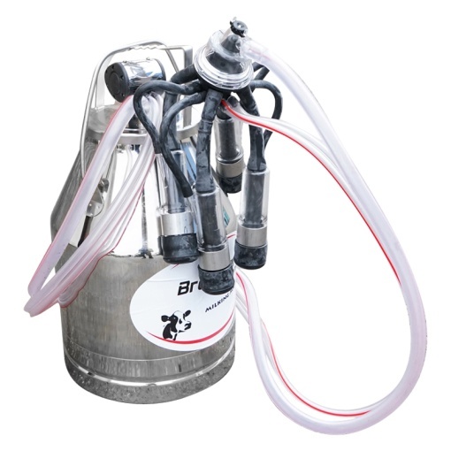 Bidon de inox 30L pentru muls germicidal Breckner Germany - Img 3