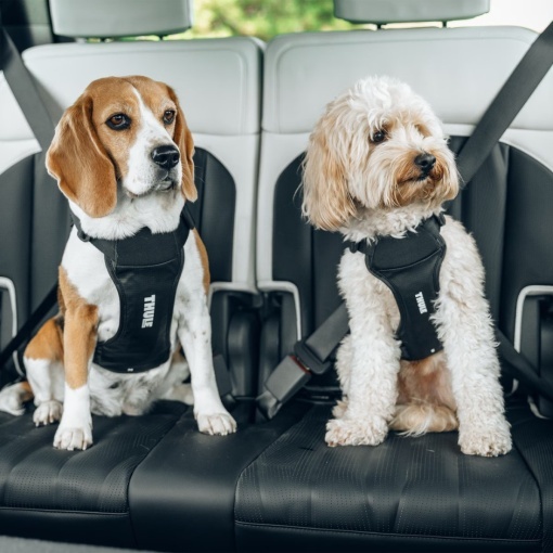 Ham auto pentru caini Thule Cappy, L - Img 5