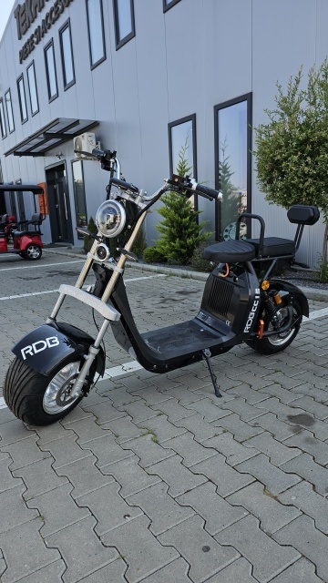 SCUTER ELECTRIC