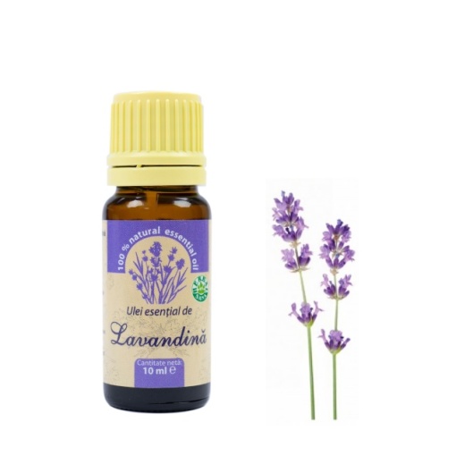 Ulei esential de Lavandina (lavandula hybrida) 100% pur fara adaos 10 ml - Img 6