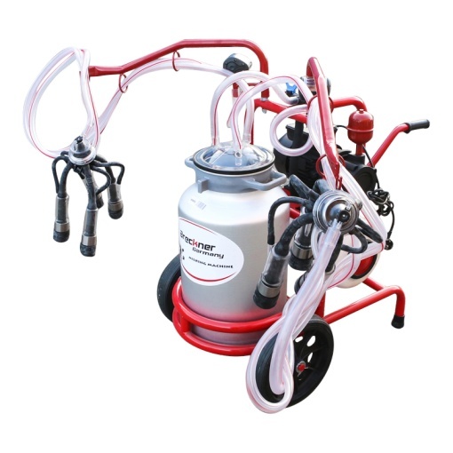 Aparat de muls vaci 2 posturi bidon 40L aluminiu cu butelie, vacuum rezervor Breckner Germany - Img 2