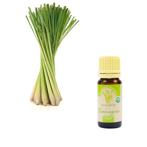 Ulei esential de Lemongrass (Cymbopogon flexuosus) 100% pur fara adaos, 10 ml - Img 5