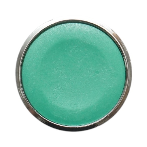 Cap buton comanda verde Ø 22mm ZBE Breckner Germany - Img 4