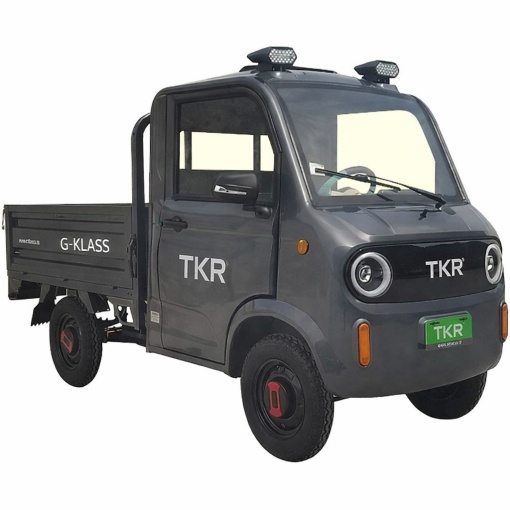 camioneta electrica