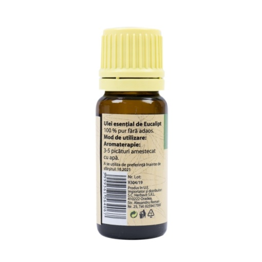 Ulei esential de Eucalipt (eucalyptus globulus), 100% pur fara adaos, 10 ml - Img 3
