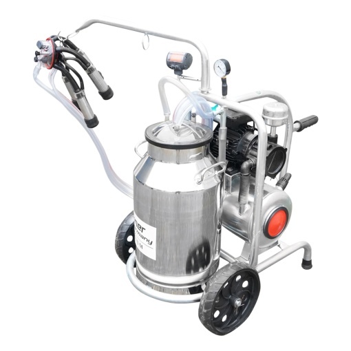 Aparat de muls vaci cu grup colector 160cc, sasiu galvanizat, bidon inox 30L, 1 post Breckner Germany - Img 5