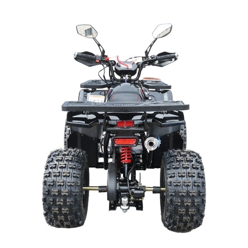 ATV 120cc, 7 CP, 4x2 cu pornire electrica HUNTER II - Img 4