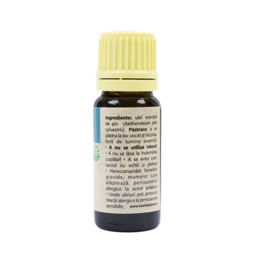 Ulei esential de Pin (Aetheroleum pini sylvestris) 100% pur fara adaos, 10 ml - Img 3