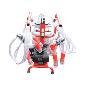 Aparat de muls vaci 2 posturi bidon 40L aluminiu cu vid in cadru(vacuum) Breckner Germany - Img 3