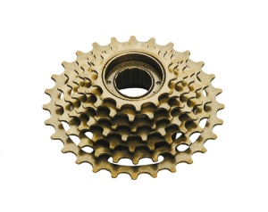 PINION 7