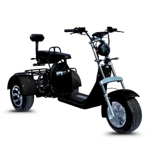 SCUTER ELECTRIC FARA PERMIS TKR