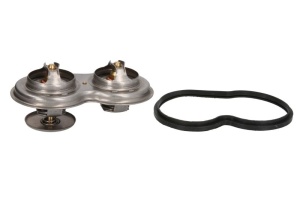 Termostat lichid racire