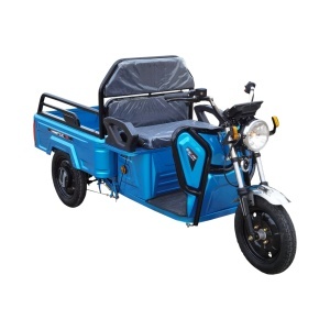 Triciclu electric BRECKNER GERMANY MODEL E 1600W 60V 20AH OMOLOGABIL - Img 2