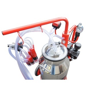 Aparat de muls vaci 1 post bidon 40L inox cu vid in cadru(vacuum) Breckner Germany - Img 6