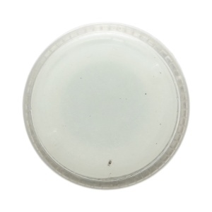 Cap indicator iluminat alb Ø 22mm LAY5 Breckner Germany - Img 4
