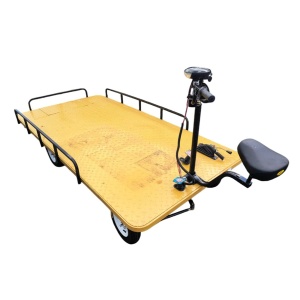Carucior platforma electrica transport marfa 800W, 48V, 2.5x1.25m sarcina maxima 1000Kg THOR