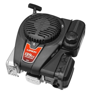 Motor Loncin LC1P65FE-B 4 CP ax vertical (22.2mm x 50mm)