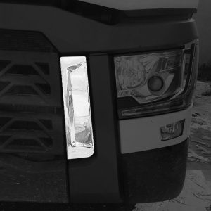 Ornament cromat grilaj RENAULT T