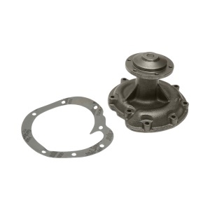 Pompa apa Case IH cod OEM 3132738R94 TNS - Img 1