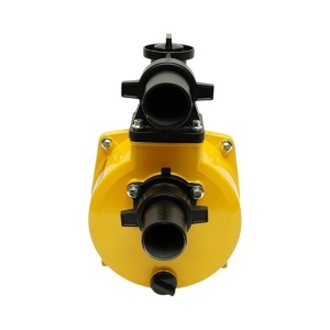 Pompa apa centrifuga autoamorsanta cu fulie dubla 3kW, 2 toli, debit 33 m3/h, adancime aspiratie 7m, inaltime pompare 33m pentru irigatii - Img 4