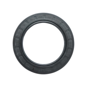Semering 70x100x12mm - Img 1
