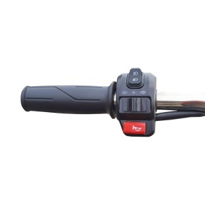 Triciclu electric BRECKNER GERMANY MODEL E 1600W 60V 20AH OMOLOGABIL - Img 9