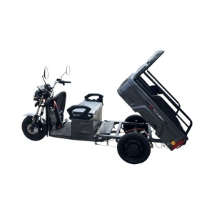 Triciclu electric BRECKNER GERMANY MODEL E GRI 1600W 60V 20AH - Img 3