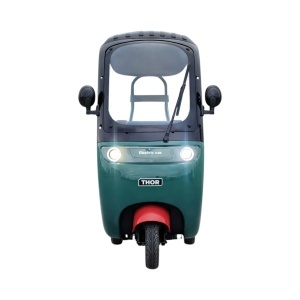 Triciclu electric Thor ELEGANCE 1000W 60V20Ah - Img 5